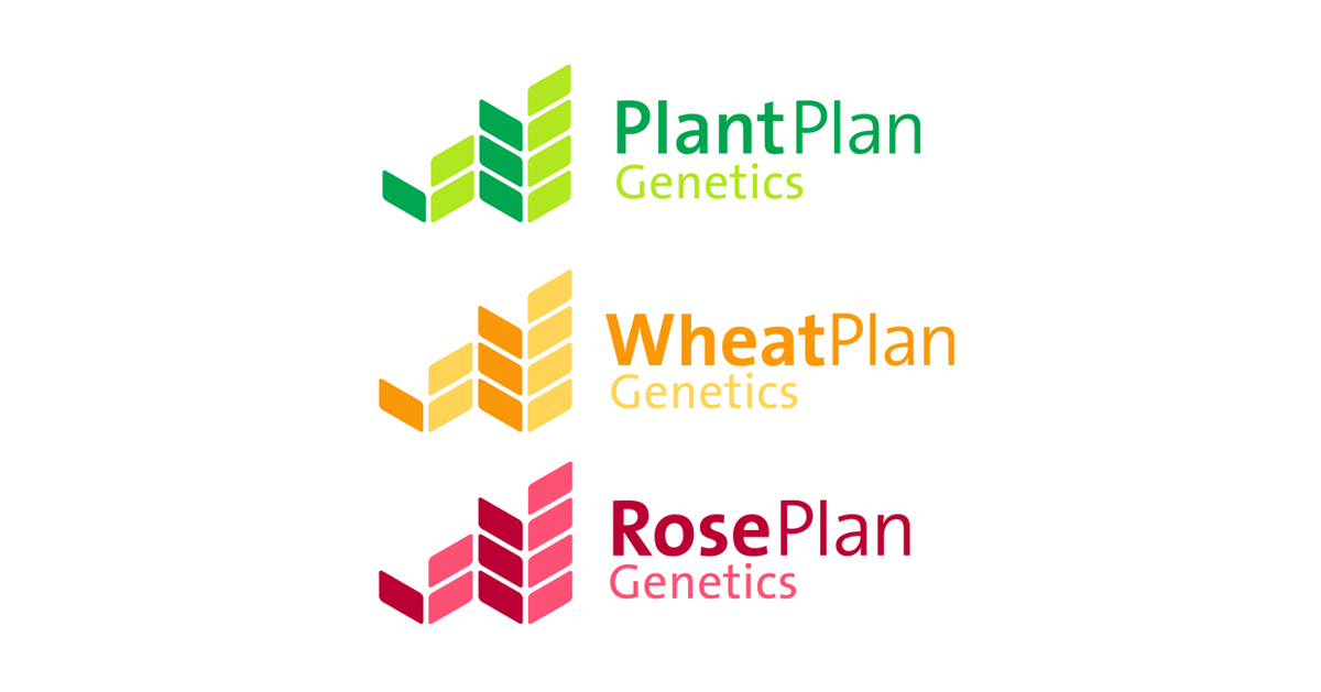 plant-plan_03